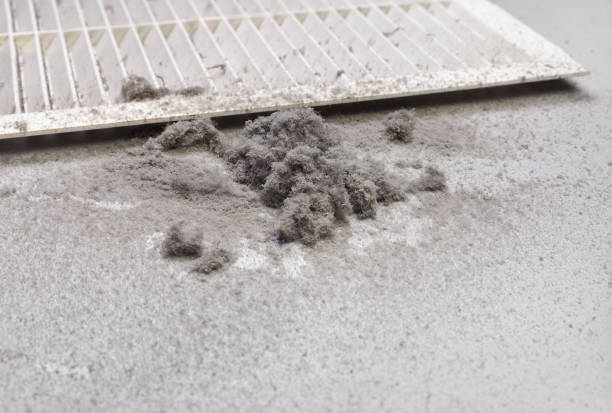 Best Dryer Vent Cleaning Services  in Springfield, MO